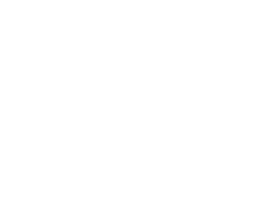 The Puzzled Parents white logo